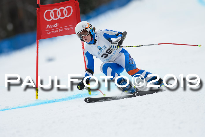 Int. FIS Rennen + NJC  AC Damen, FIS SG, Götschen, 01.02.2019