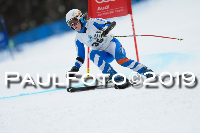 Int. FIS Rennen + NJC  AC Damen, FIS SG, Götschen, 01.02.2019