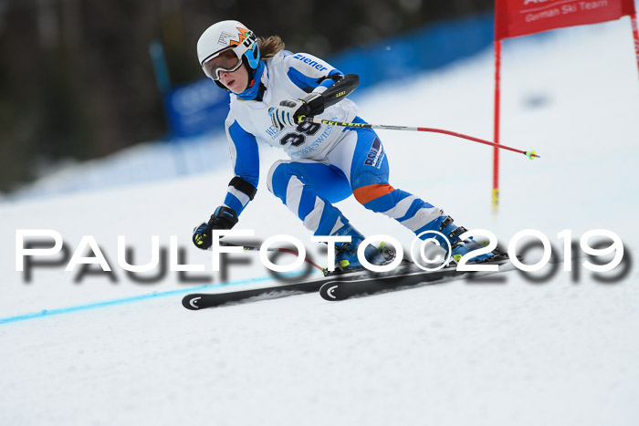 Int. FIS Rennen + NJC  AC Damen, FIS SG, Götschen, 01.02.2019