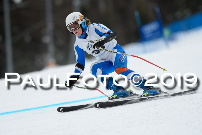 Int. FIS Rennen + NJC  AC Damen, FIS SG, Götschen, 01.02.2019