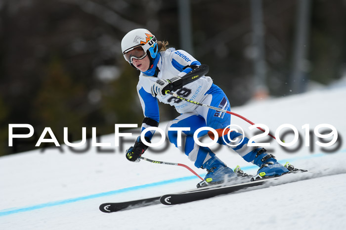 Int. FIS Rennen + NJC  AC Damen, FIS SG, Götschen, 01.02.2019