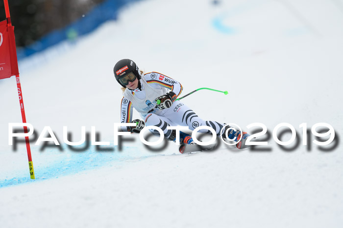 Int. FIS Rennen + NJC  AC Damen, FIS SG, Götschen, 01.02.2019