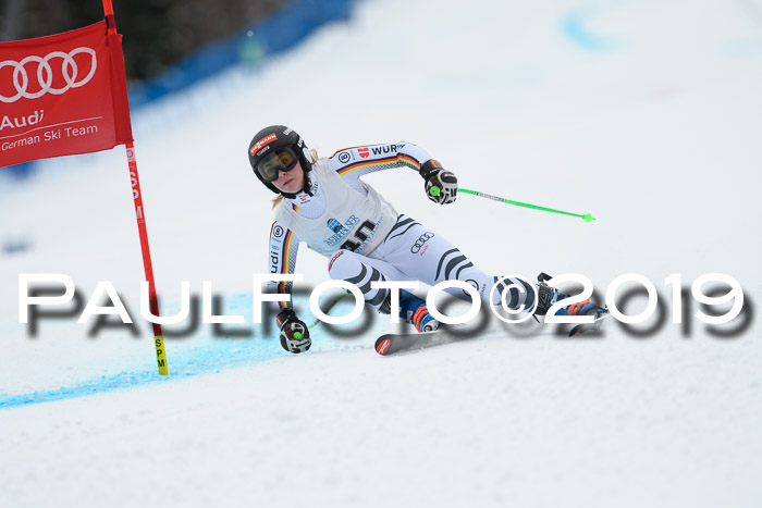 Int. FIS Rennen + NJC  AC Damen, FIS SG, Götschen, 01.02.2019