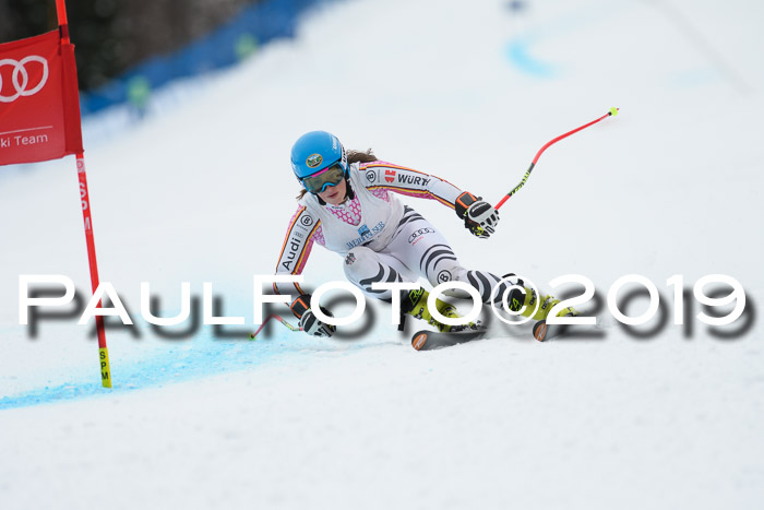 Int. FIS Rennen + NJC  AC Damen, FIS SG, Götschen, 01.02.2019