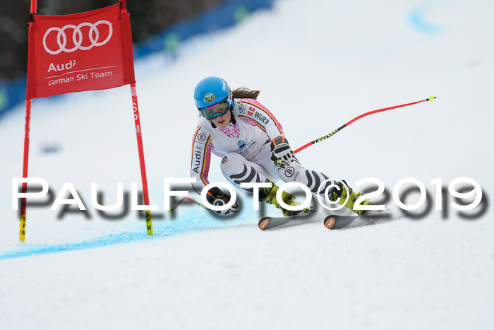 Int. FIS Rennen + NJC  AC Damen, FIS SG, Götschen, 01.02.2019