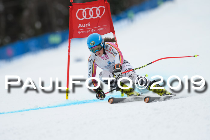 Int. FIS Rennen + NJC  AC Damen, FIS SG, Götschen, 01.02.2019