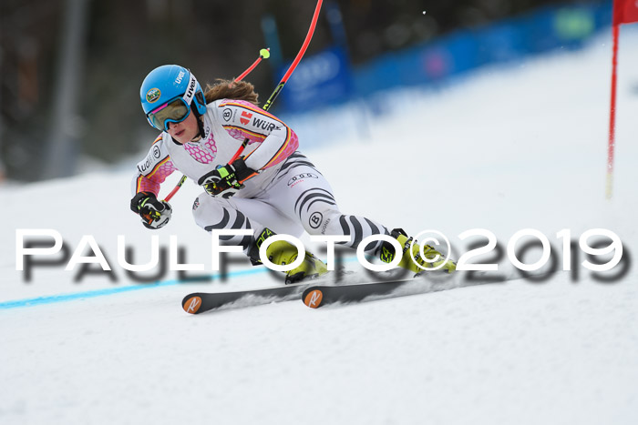 Int. FIS Rennen + NJC  AC Damen, FIS SG, Götschen, 01.02.2019