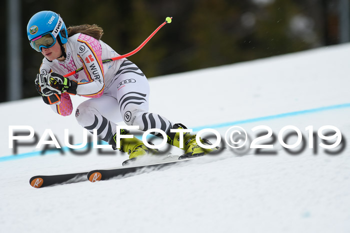 Int. FIS Rennen + NJC  AC Damen, FIS SG, Götschen, 01.02.2019