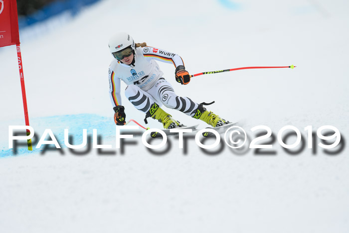 Int. FIS Rennen + NJC  AC Damen, FIS SG, Götschen, 01.02.2019
