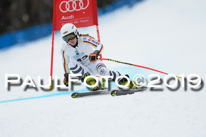 Int. FIS Rennen + NJC  AC Damen, FIS SG, Götschen, 01.02.2019