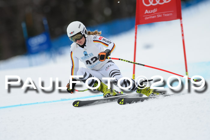 Int. FIS Rennen + NJC  AC Damen, FIS SG, Götschen, 01.02.2019