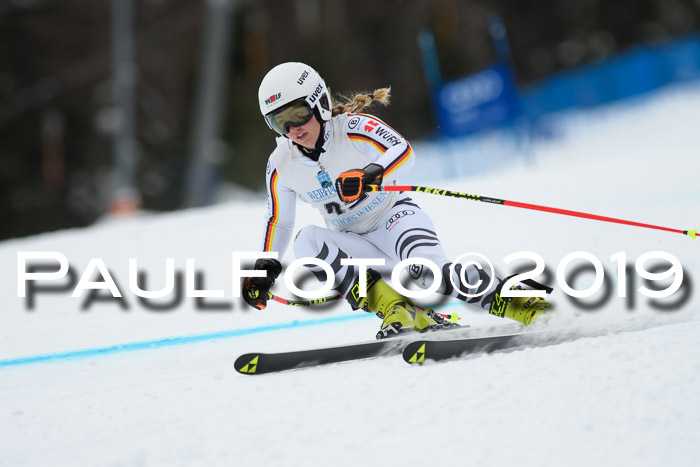 Int. FIS Rennen + NJC  AC Damen, FIS SG, Götschen, 01.02.2019