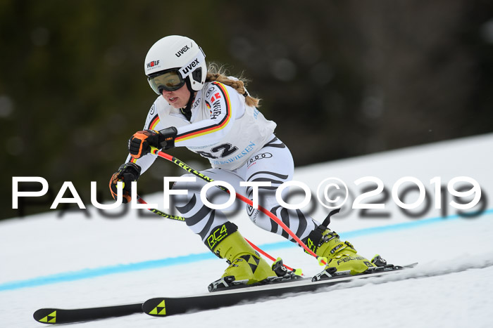 Int. FIS Rennen + NJC  AC Damen, FIS SG, Götschen, 01.02.2019