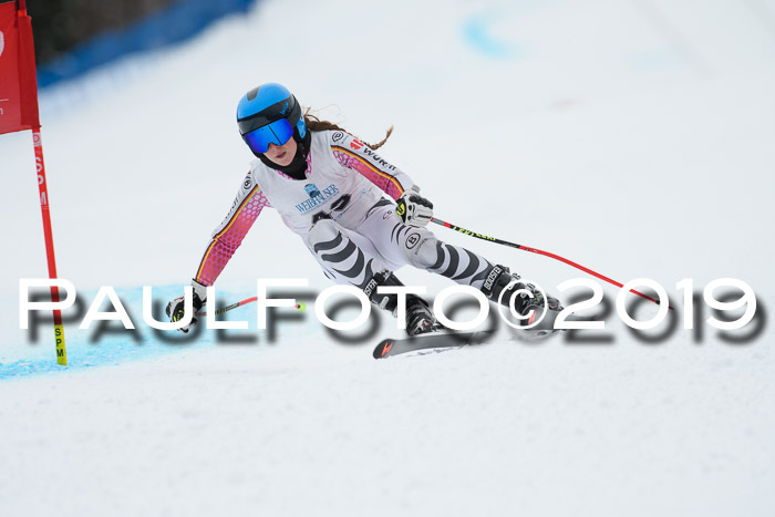 Int. FIS Rennen + NJC  AC Damen, FIS SG, Götschen, 01.02.2019