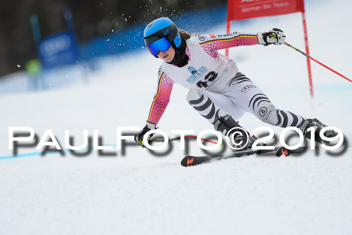 Int. FIS Rennen + NJC  AC Damen, FIS SG, Götschen, 01.02.2019