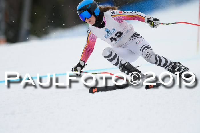 Int. FIS Rennen + NJC  AC Damen, FIS SG, Götschen, 01.02.2019