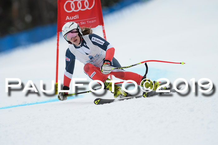 Int. FIS Rennen + NJC  AC Damen, FIS SG, Götschen, 01.02.2019