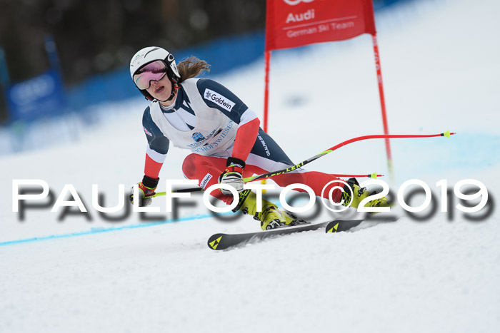 Int. FIS Rennen + NJC  AC Damen, FIS SG, Götschen, 01.02.2019