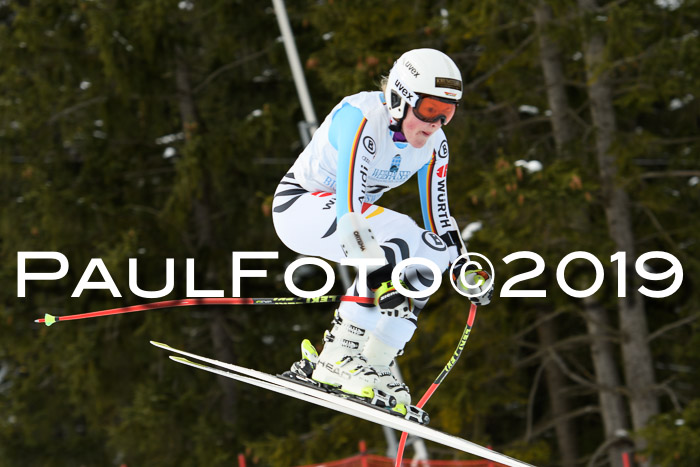 Int. FIS Rennen + NJC  AC Damen, FIS SG, Götschen, 01.02.2019