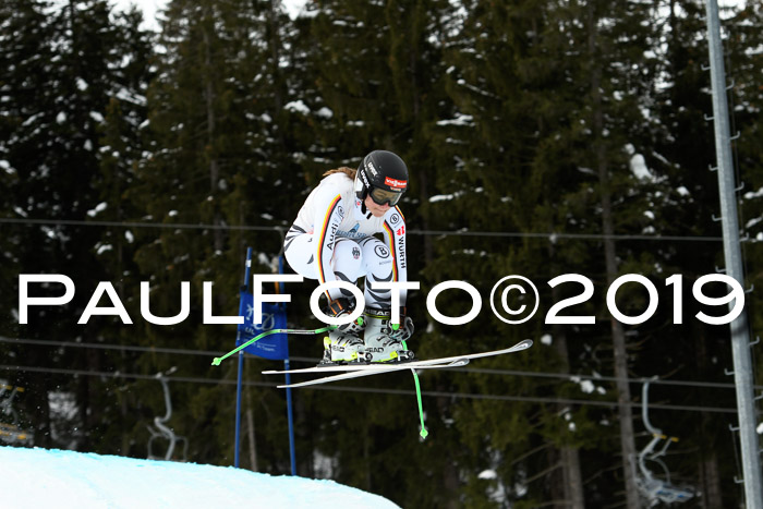 Int. FIS Rennen + NJC  AC Damen, FIS SG, Götschen, 01.02.2019