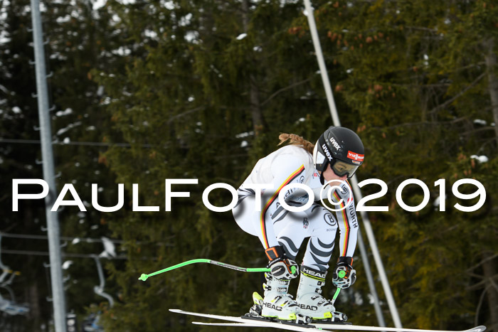 Int. FIS Rennen + NJC  AC Damen, FIS SG, Götschen, 01.02.2019
