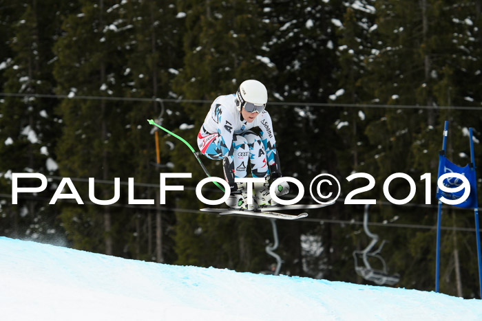 Int. FIS Rennen + NJC  AC Damen, FIS SG, Götschen, 01.02.2019