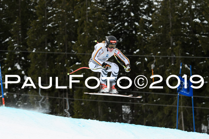 Int. FIS Rennen + NJC  AC Damen, FIS SG, Götschen, 01.02.2019