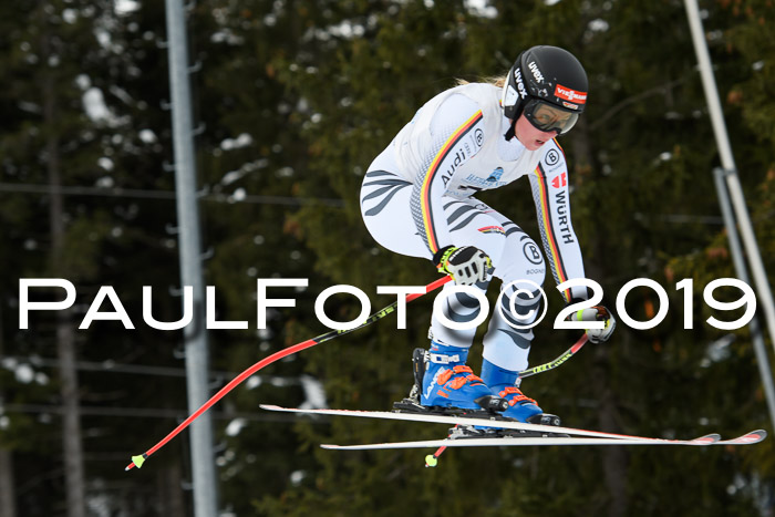 Int. FIS Rennen + NJC  AC Damen, FIS SG, Götschen, 01.02.2019