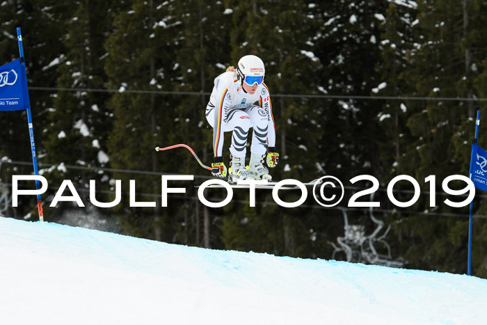 Int. FIS Rennen + NJC  AC Damen, FIS SG, Götschen, 01.02.2019