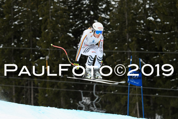 Int. FIS Rennen + NJC  AC Damen, FIS SG, Götschen, 01.02.2019