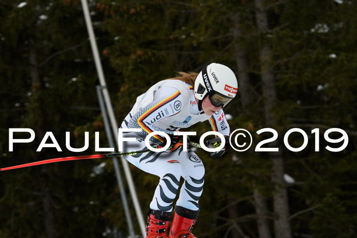 Int. FIS Rennen + NJC  AC Damen, FIS SG, Götschen, 01.02.2019