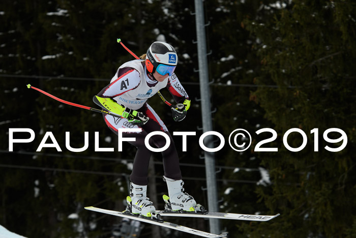 Int. FIS Rennen + NJC  AC Damen, FIS SG, Götschen, 01.02.2019