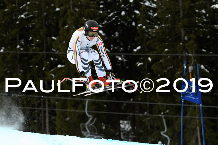 Int. FIS Rennen + NJC  AC Damen, FIS SG, Götschen, 01.02.2019