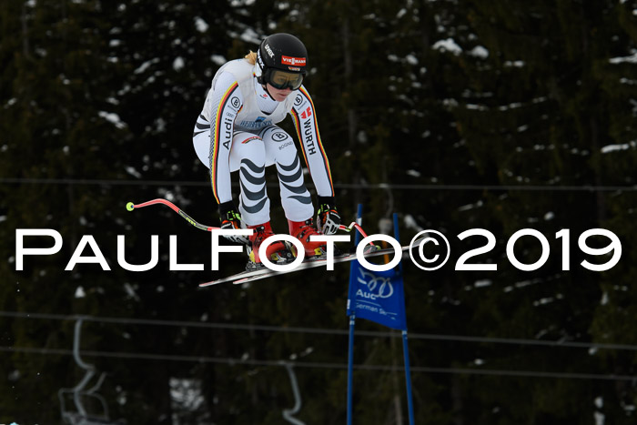 Int. FIS Rennen + NJC  AC Damen, FIS SG, Götschen, 01.02.2019