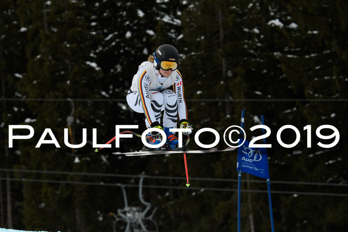 Int. FIS Rennen + NJC  AC Damen, FIS SG, Götschen, 01.02.2019