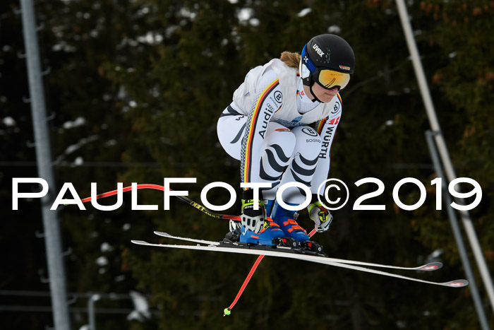 Int. FIS Rennen + NJC  AC Damen, FIS SG, Götschen, 01.02.2019
