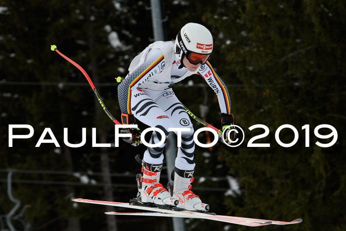 Int. FIS Rennen + NJC  AC Damen, FIS SG, Götschen, 01.02.2019