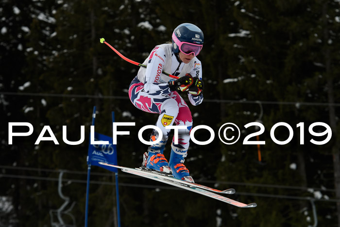 Int. FIS Rennen + NJC  AC Damen, FIS SG, Götschen, 01.02.2019