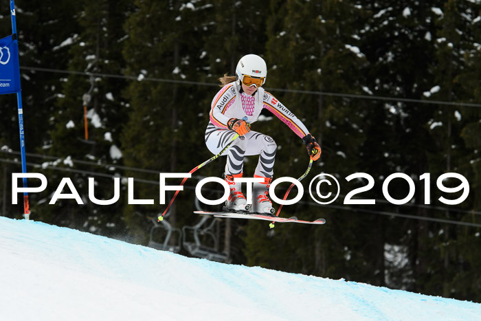 Int. FIS Rennen + NJC  AC Damen, FIS SG, Götschen, 01.02.2019