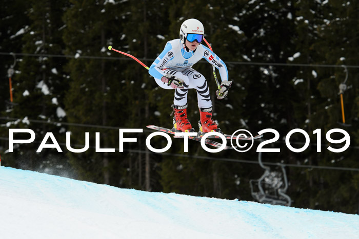 Int. FIS Rennen + NJC  AC Damen, FIS SG, Götschen, 01.02.2019