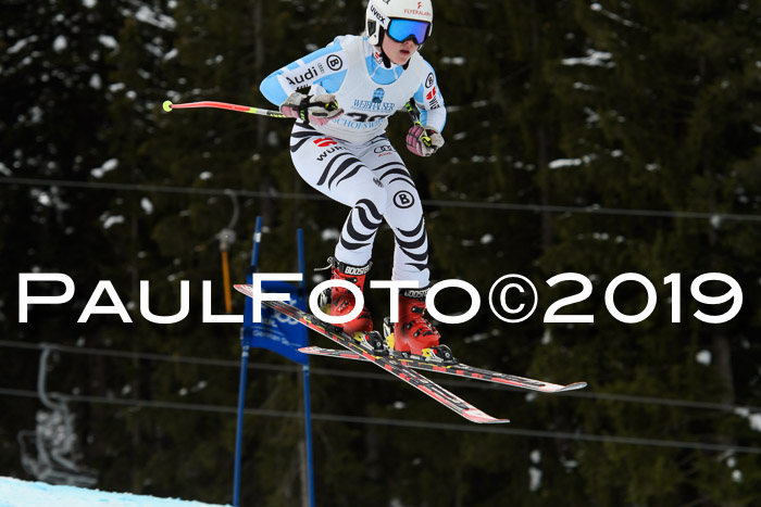 Int. FIS Rennen + NJC  AC Damen, FIS SG, Götschen, 01.02.2019