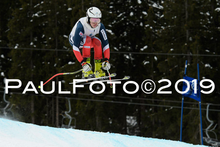 Int. FIS Rennen + NJC  AC Damen, FIS SG, Götschen, 01.02.2019