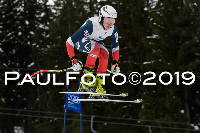 Int. FIS Rennen + NJC  AC Damen, FIS SG, Götschen, 01.02.2019