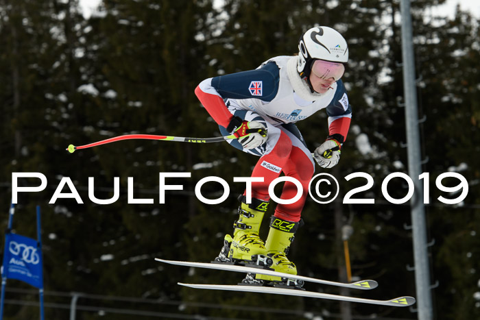 Int. FIS Rennen + NJC  AC Damen, FIS SG, Götschen, 01.02.2019