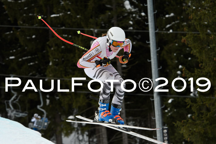 Int. FIS Rennen + NJC  AC Damen, FIS SG, Götschen, 01.02.2019