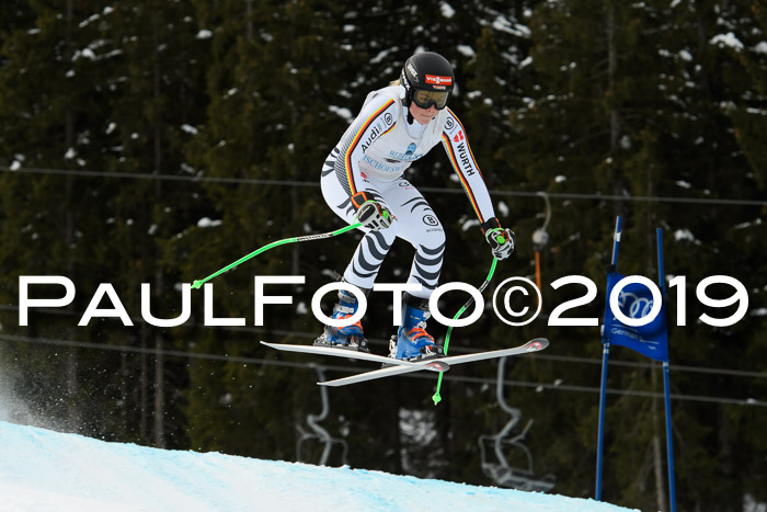 Int. FIS Rennen + NJC  AC Damen, FIS SG, Götschen, 01.02.2019