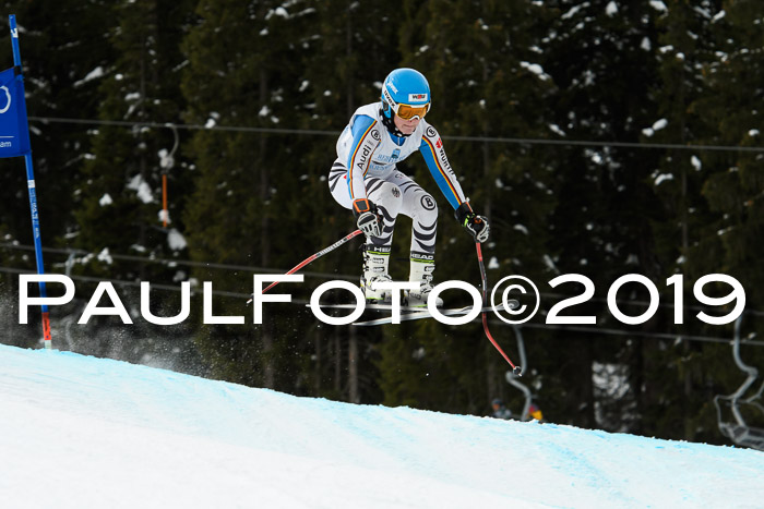 Int. FIS Rennen + NJC  AC Damen, FIS SG, Götschen, 01.02.2019
