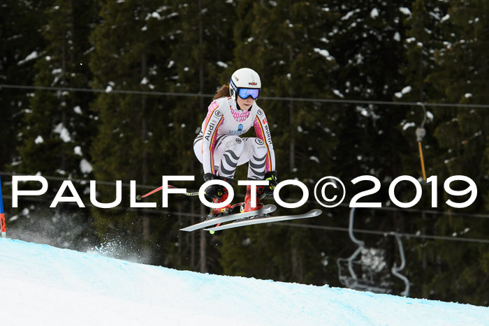 Int. FIS Rennen + NJC  AC Damen, FIS SG, Götschen, 01.02.2019
