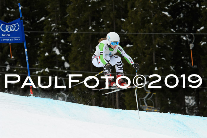 Int. FIS Rennen + NJC  AC Damen, FIS SG, Götschen, 01.02.2019