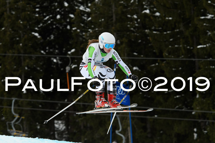 Int. FIS Rennen + NJC  AC Damen, FIS SG, Götschen, 01.02.2019